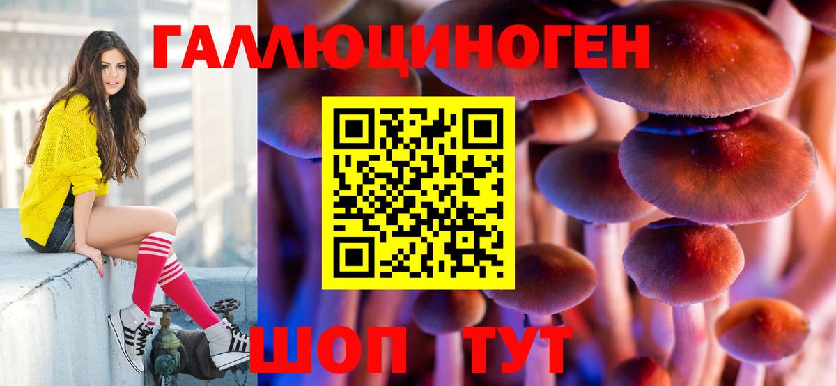 Артём  хочу   Вход с VPN  Псилоцибиновые грибы мухоморы  Псилоцибиновые грибы Psilocybe 