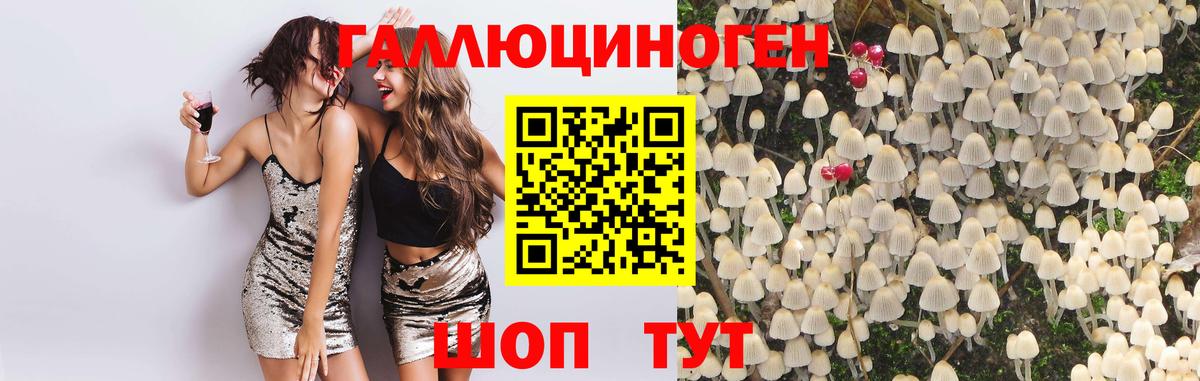 Псилоцибиновые грибы Psilocybine cubensis Артём