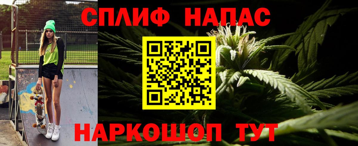 Бошки Шишки ГИДРОПОН Артём